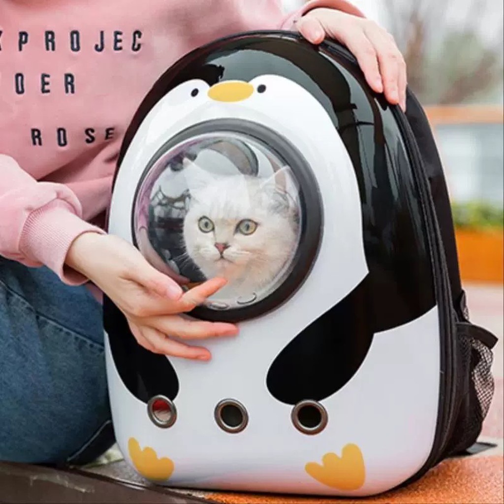 Chó Shar Pei nhập khẩu