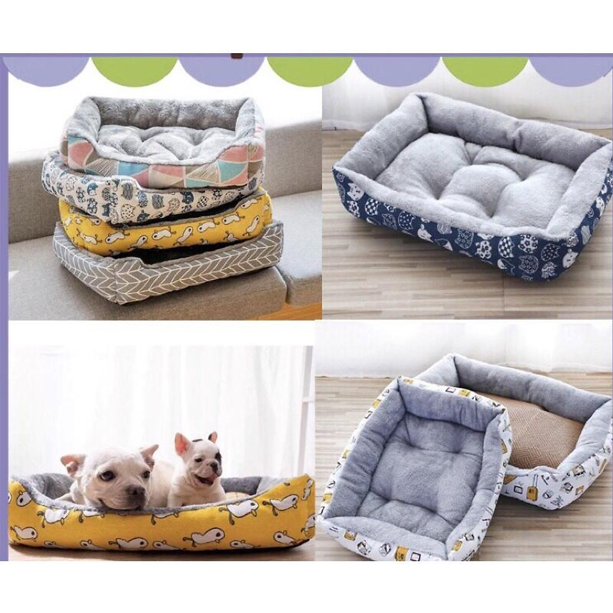Chó Shar Pei nhập khẩu