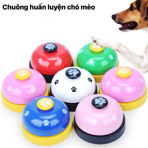 Chó Shar Pei nhập khẩu