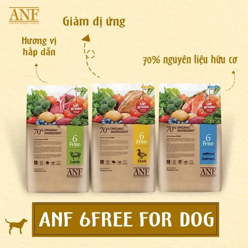 Chó Shar Pei nhập khẩu