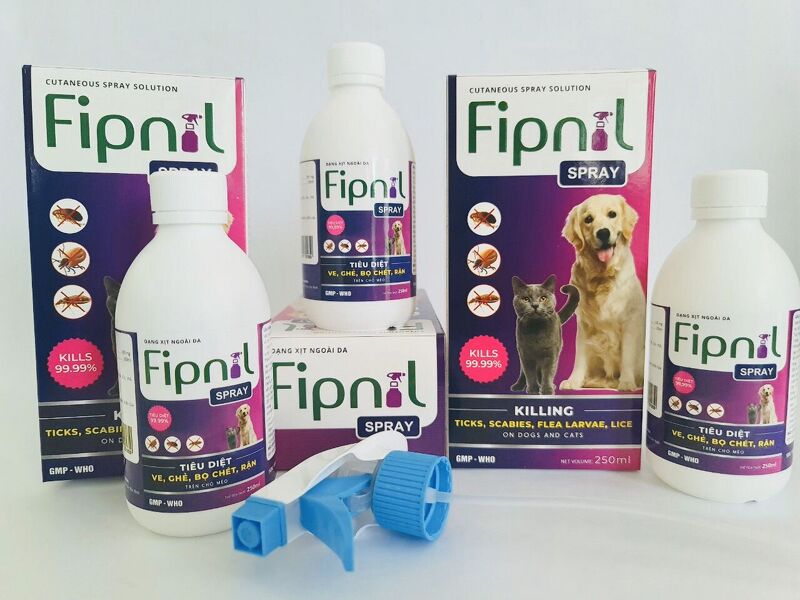 Chó Shar Pei nhập khẩu