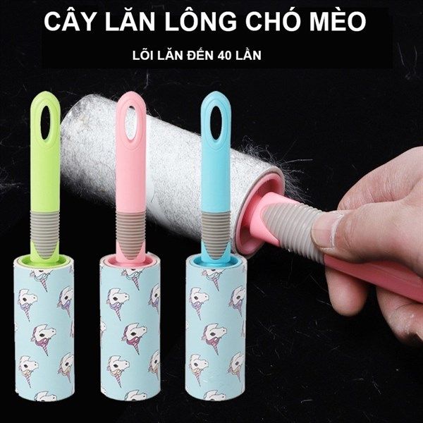Chó Shar Pei nhập khẩu