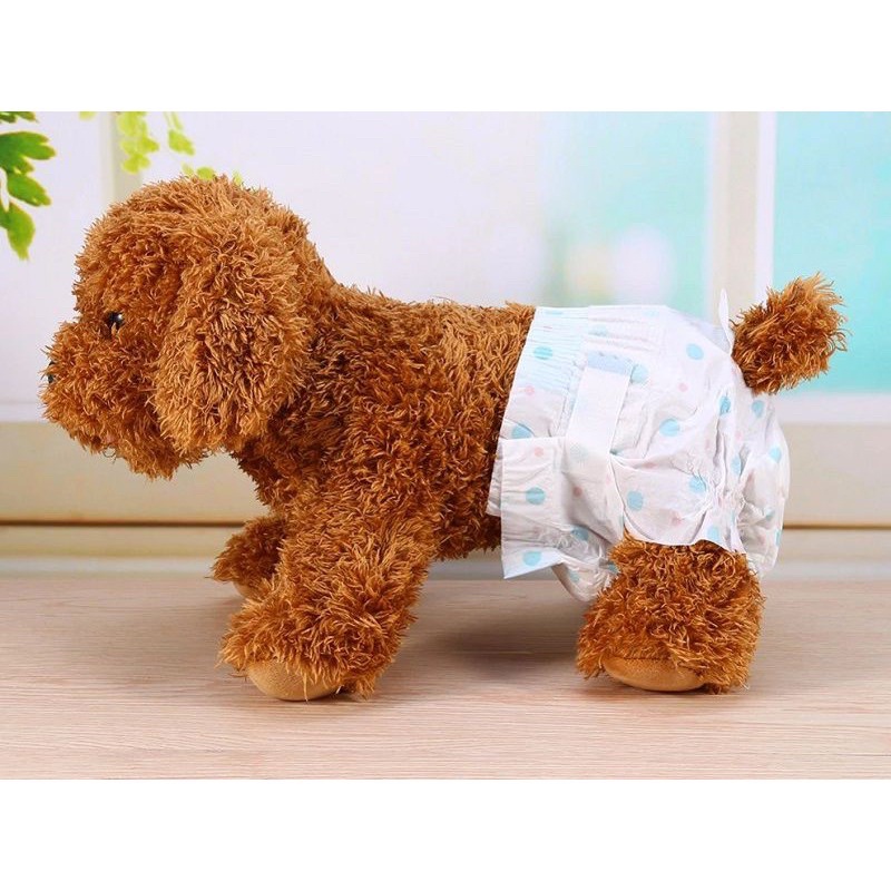 Chó Shar Pei nhập khẩu