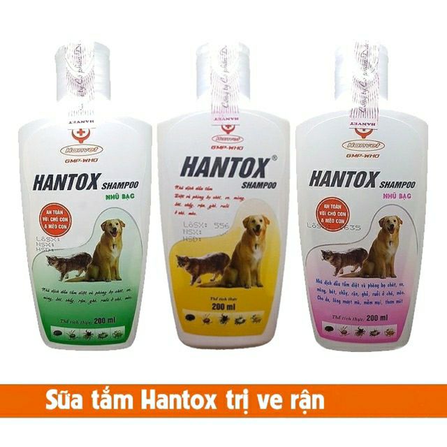 Chó Shar Pei nhập khẩu