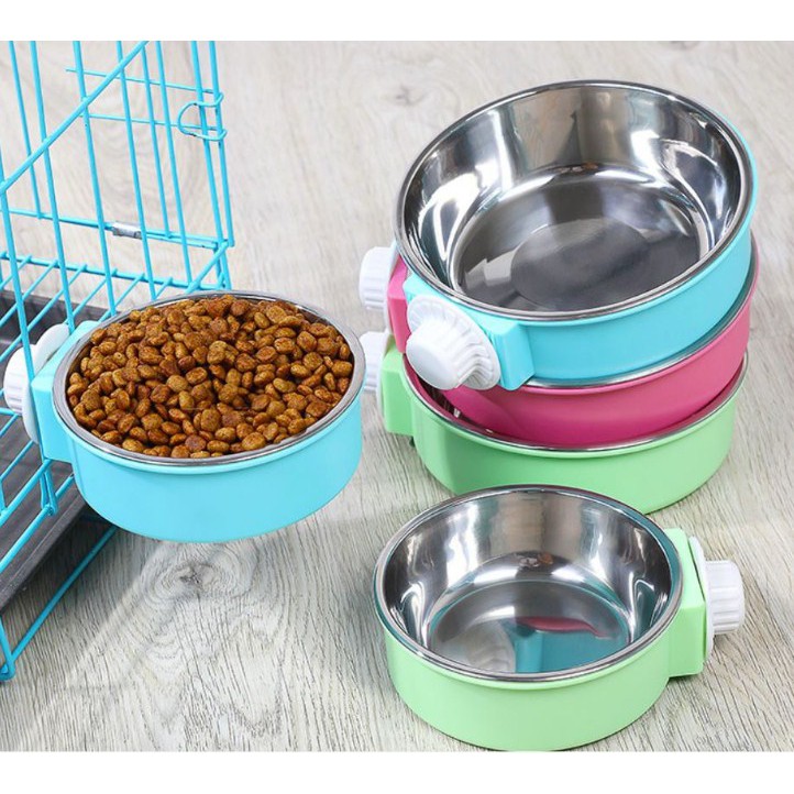 Chó Shar Pei nhập khẩu