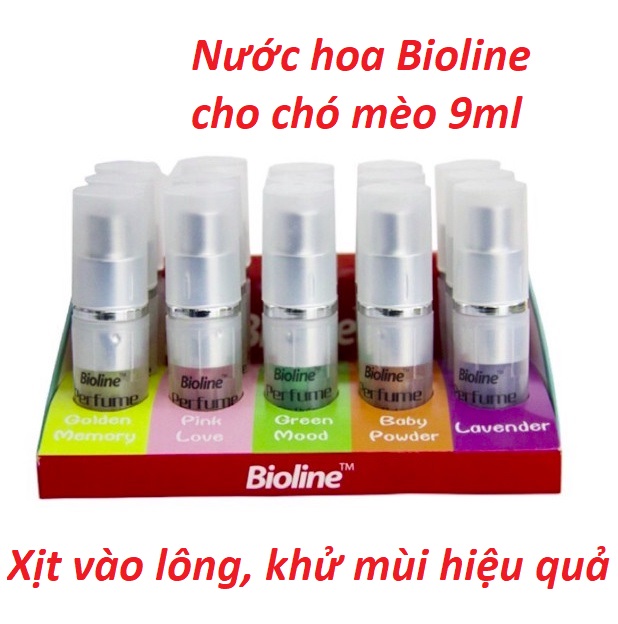Chó Shar Pei nhập khẩu