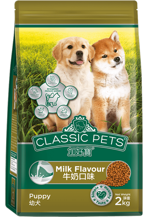 Chó Shar Pei nhập khẩu