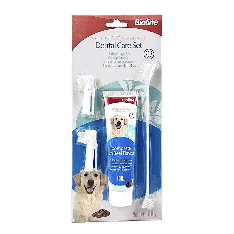 Chó Shar Pei nhập khẩu