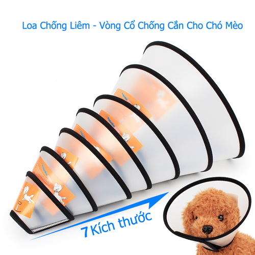Chó Shar Pei nhập khẩu