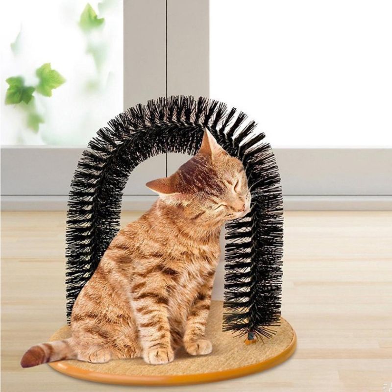 Chó Shar Pei nhập khẩu