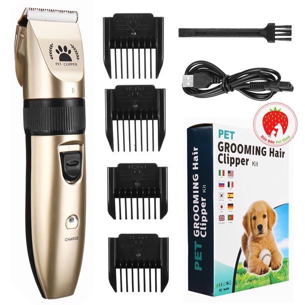 Chó Shar Pei nhập khẩu