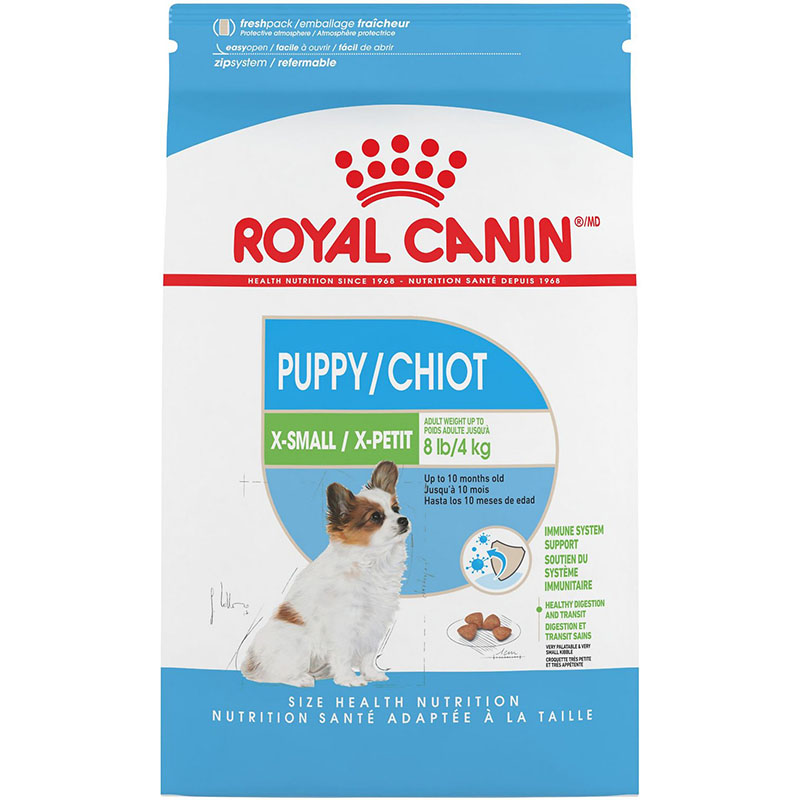 Chó Shar Pei nhập khẩu