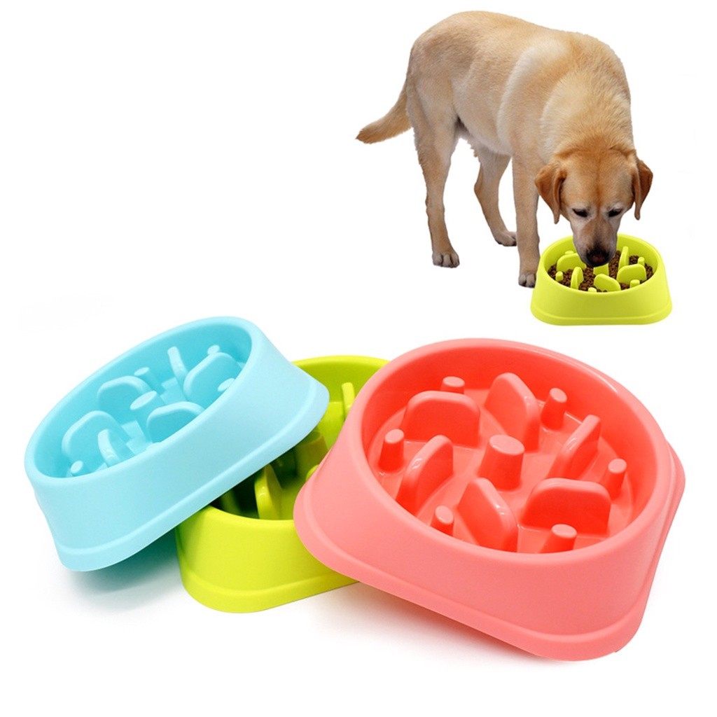 Chó Shar Pei nhập khẩu