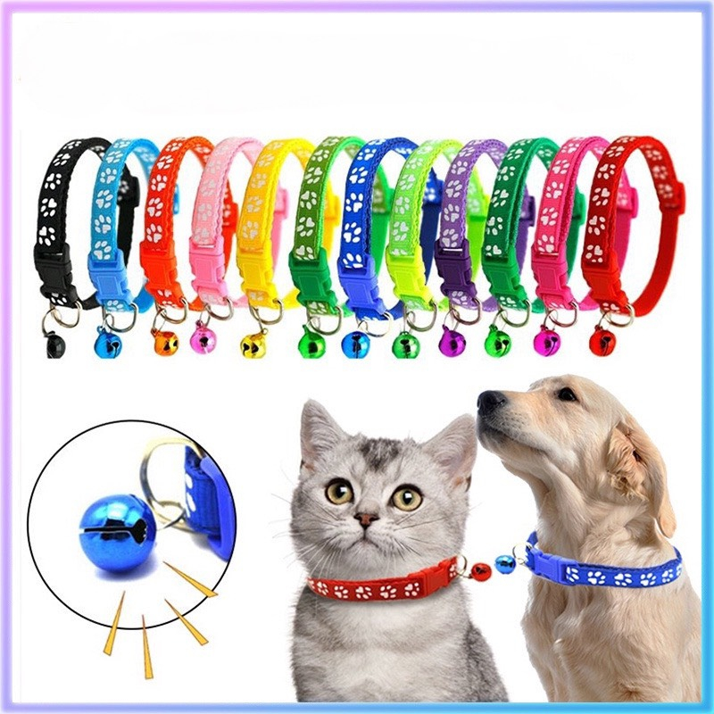Chó Shar Pei nhập khẩu