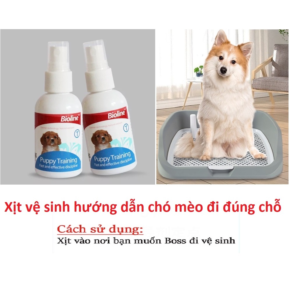 Chó Shar Pei nhập khẩu