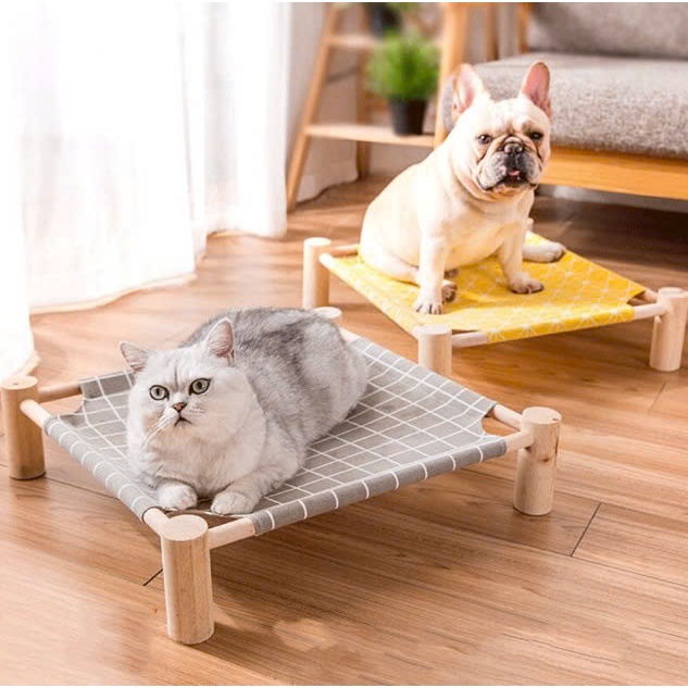 Chó Shar Pei nhập khẩu